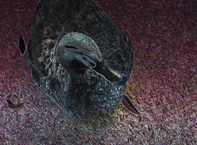 ショップ画像