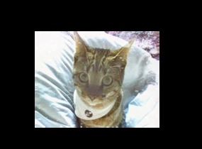 ショップ画像