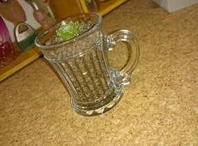 ショップ画像