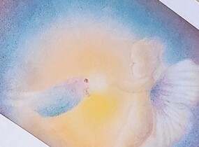ショップ画像