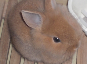 ショップ画像