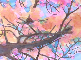 ショップ画像