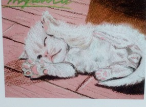 ショップ画像