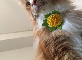 ショップ画像