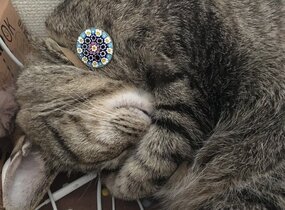 ショップ画像