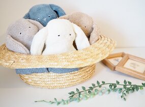 ショップ画像