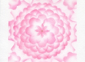 ショップ画像