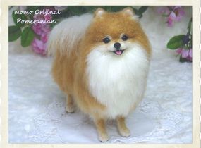 ショップ画像