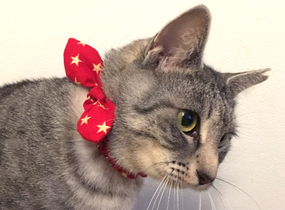 ショップ画像