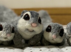 ショップ画像