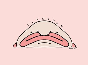 ショップ画像
