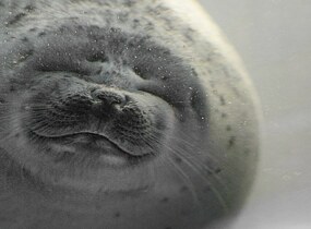 ショップ画像