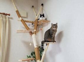 ショップ画像