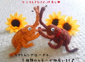 ショップ画像