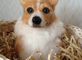 ショップ画像