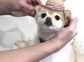 ショップ画像