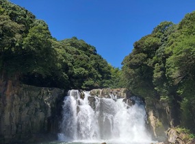 ショップ画像