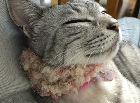 ショップ画像