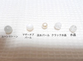 ショップ画像