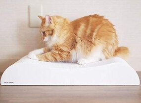 ショップ画像