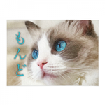 もふもふブランケット【アイコン柄】1枚