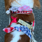 犬用🐶クールエプロン柔らか保冷剤入りアイボリーオーガニックコットンガーゼギンガムチェック新作💕