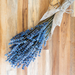 100本ラベンダー