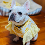 新作犬服オーダー★ミモザフリル袖タンク黄色フレブル服小型犬フレンチブルドッグパグ服フレブル服中型犬小型犬