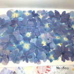 ♡new♡選別前だからお安く♡紫陽花の押し花セット♡