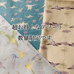お得！フライングインコ　3種類