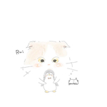 専用ページ