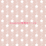 ✳︎usa2chii2様専用ページ✳︎