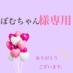 ぽむちゃん様専用
