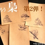 【ミニレター】ふくろう 第2弾！鉛筆画シリーズ 6種30枚入
