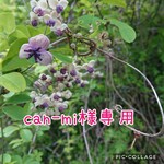 can-mi様専用