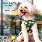 ハーネス☆ Cafe BEAR （グリーン）ハーネス・リード タッセル付き　お散歩デビューオススメ 猫ちゃん パピーちゃんにも