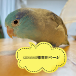 karinnonko様専用ページ