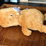 リラックスカピバラM