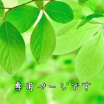 あっきんさん。専用ページ