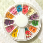 丸ケース押し花セット♡11色 + 練習用欠け花&花びら ネイルやレジン
