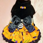 rorirero9546様専用カート  犬服オーダー🎃彡ハロウィン🕷ワンピドレス オレンジ🦇👻