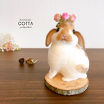 ホーランドロップ　うさぎ　羊毛フェルト　人形