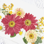 押し花素材～マーガレットセット～