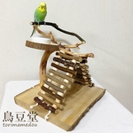 自然木のバードアスレチック【文鳥・セキセイインコ・オカメインコ・コザクラインコ】バードアスレチック・鳥とまり木