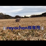 🐰rayachan様専用🐰
