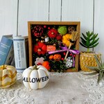 ハロウィン　壁掛けハロウィンボックスD