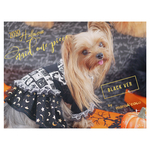 ☆NEW☆2020ハロウィンメイドワンピース＆ティペット　犬服　犬用秋服　犬用冬服　犬服ハロウィン