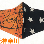 USAコットン　ハロウィン蜘蛛の巣2／星柄　レディースMサイズ