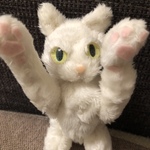 sale しろにゃーん
