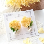 人気*✲ﾟ再々々販 キンモクセイ～華やかに咲く秋の花束～ピアス/イヤリング